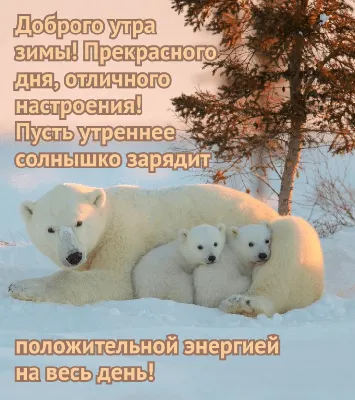 Всем доброго утра. Всем хорошего дня, хорошего и позитивного настроения! С  днем рождения Деда Мороза! - Лента новостей Запорожья