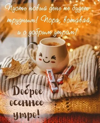 Доброго утра и хорошего дня! — Скачайте на Davno.ru