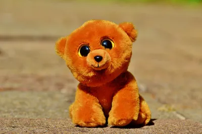 Мягкая игрушка \"Медвежонок в толстовке с блестящей вышивкой\" 30 см -  плюшевый мишка - купить с доставкой по выгодным ценам в интернет-магазине  OZON (1252252906)