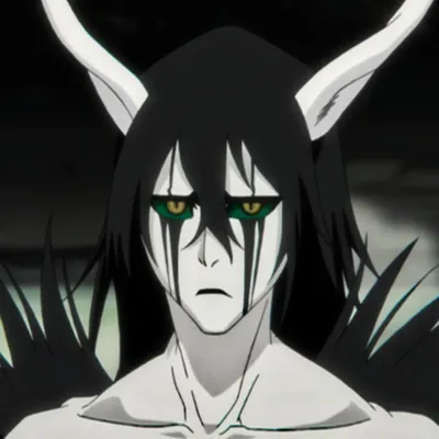 Ulquiorra Schiffer | Bleach | Bleach anime, Bleach (anime), Bleach manga