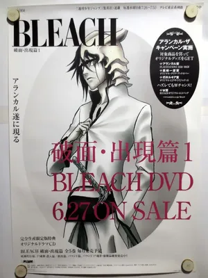 Bleach\" Beginning of Despair... Ichigo, the Unreachable Blade (TV Episode  2010) - IMDb