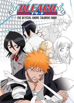 Amazon.com: ANIME HEROES - Bleach - Ichigo Kurosaki Action Figure :  Everything Else