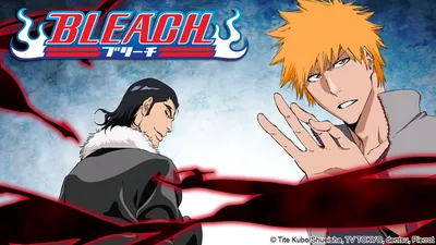 Обои блич, ichigo, blich, bankaj, bleach для рабочего стола #54137