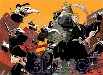 Wallpaper Ichigo Kurosaki from the anime Bleach / download to desktop (50+)