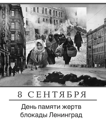 Давние счеты: почему блокаду Ленинграда признали геноцидом | Статьи |  Известия