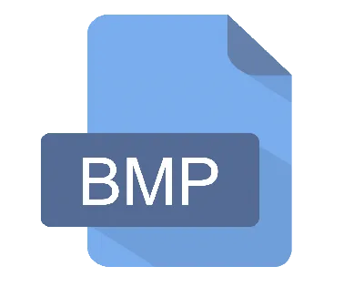 What is BMP?