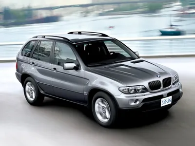 Кенгурятник BMW X5 E53 (описание, фото, отзывы). Купить защитную дугу BMW X5  магазин автотюнинга Tuning.com.ua