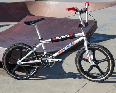 Mongoose Rebel kids BMX bike, 20-inch mag wheels, ages 7 - 13, black | eBay