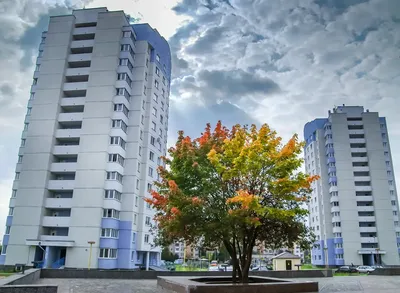 Бобруйск вошел в число самых благоустроенных городов Беларуси за 2022 год.  Итоги конкурса | bobruisk.ru