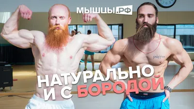 Купить Мышцы Бодибилдинг Фитнес Мотивационные Цитаты Художественная Картина  на Холсте Плакат Настенная Картина Печать для Домашнего Тренажерного Зала  Офиса Декор Без Рамки | Joom