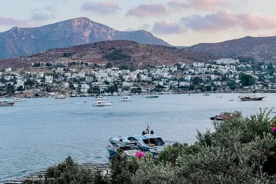 Ваш Бодрум. Vash Bodrum. Vaş Bodrum | Ortakent