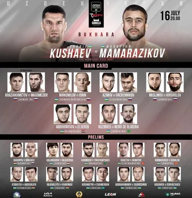 Боец UFC потребовал боя с Новым Хабибом » Ежедневная спортивная газета  Кыргызстана Sport.kg