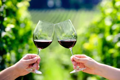Красное вино — это напиток для души! Яркий и ароматный бокал вина придаёт  нотку шарма любому вечеру, расслабляет и настраивает на приятную… |  Instagram