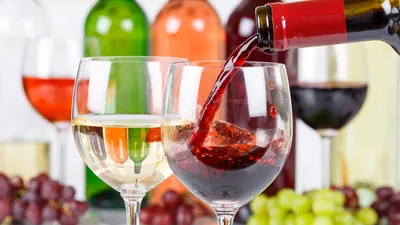 Бокалы для красного вина: из каких бокалов пьют красное вино