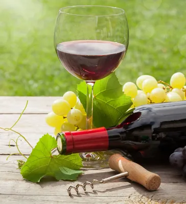 Пустой и полный бокал вина изолированный на белизне Стоковое Изображение -  изображение насчитывающей лоза, питье: 38883475