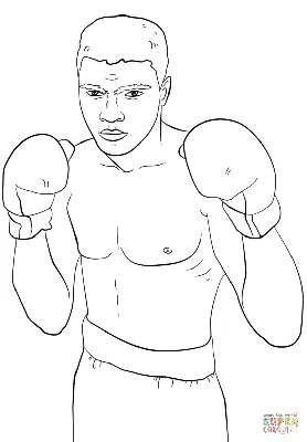 Боксерский ринг PNG , бокс, спортсмен, игра PNG картинки и пнг PSD рисунок  для бесплатной загрузки
