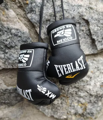 Боксерские перчатки Everlast Powerlock PU 2 белые купить в Петербурге с  консультацией профессионалов - Fight-Evolution