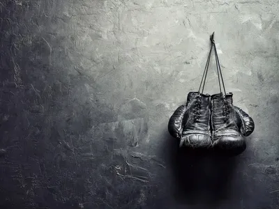 перчатки для бокса, боксерские перчатки, кожаные перчатки для бокса] +  купить в Киеве | цены sportko.com.ua
