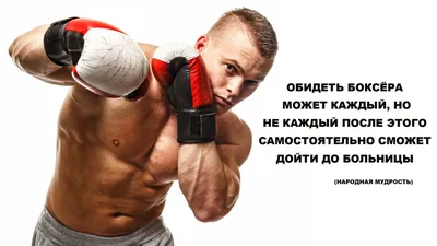 Боксеры