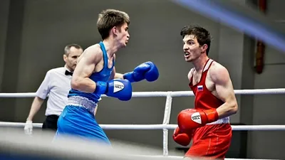 Узбекистан занял первое место на чемпионате мира по боксу (видео) –  Газета.uz