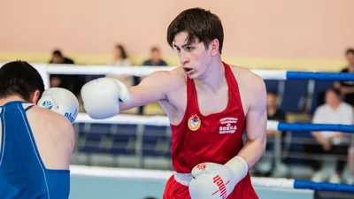 Четыре золота завоевали казахстанские боксеры на международном турнире в  Баку