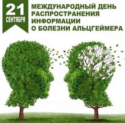 Альцгеймер и Паркинсон: сходства и различия