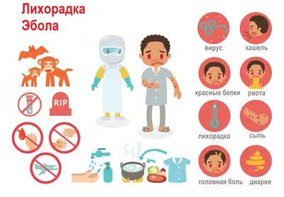 Лихорадка Эбола - причины появления, симптомы заболевания, диагностика и  способы лечения