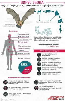 Инфографика про болезнь Эбола Stock Vector | Adobe Stock