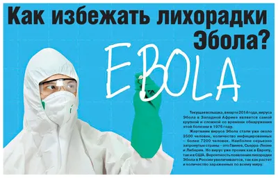 Лихорадка Эбола - самая страшная болезнь Арабского мира | АрабМир