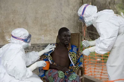 Две эпидемии и 11 тысяч погибших. Хроника смертоносного вируса Эболы от его  возникновения до появления лекарств — Мир