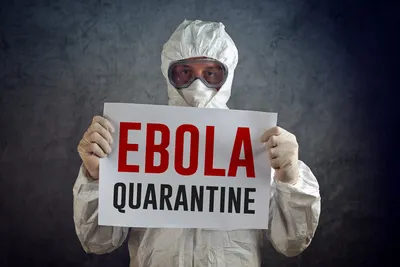 Лихорадка Эбола: симптомы и меры профилактики - Инфографика ТАСС