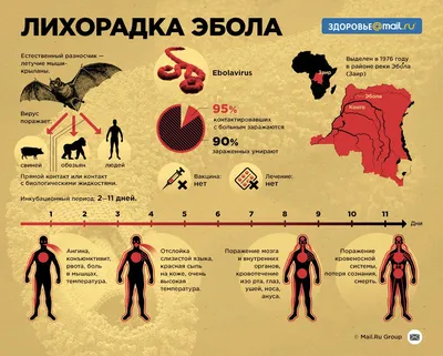 Быль об Эболе | MAXIM