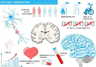 Болезнь Паркинсона, и как с ней бороться – книга, написанная пациентом,  Леонид Шевченко – скачать книгу fb2, epub, pdf на ЛитРес