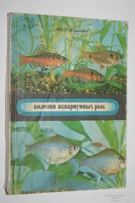 Рыбки Данио – уход и содержание, описание, размножение, фото