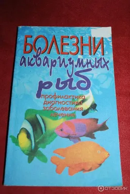 Помогите определить болезнь золотой рыбки | АквариумОК