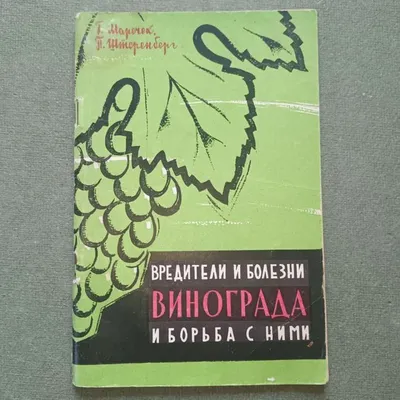 Болезни винограда . Какие препараты от болезней винограда и вредителей я  применяю - YouTube