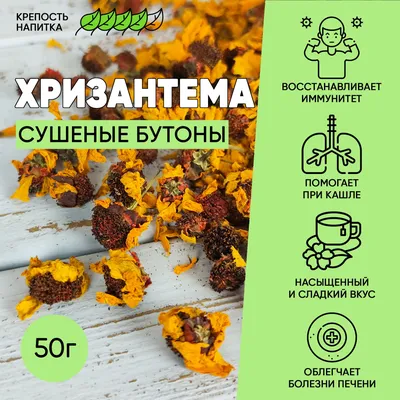 Почему не цветут хризантемы? Как ускорить цветение?