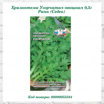 Хризантема Умка - Сад цветов - Магазин рассады цветов в Барнауле