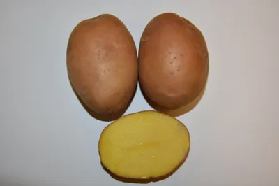 Что нужно знать о картофеле?