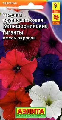 S60135 Петуния кустовая Grandiflora Succes!HD Red 10шт. - купить в Москве в  интернет-магазине