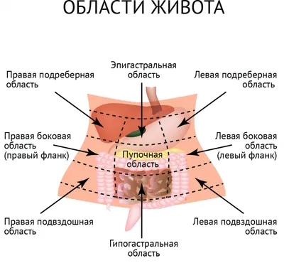 Боли в животе