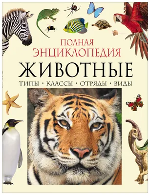 Космос. Большая энциклопедия, РОСМЭН — купить в интернет-магазине по низкой  цене на Яндекс Маркете