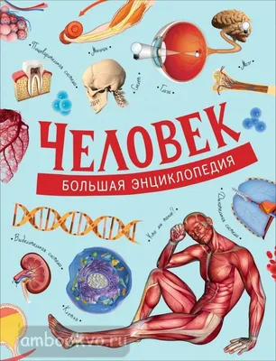 Купить Росмэн 31056 Большая энциклопедия для детского сада - цена от 572 ₽  в Симферополе