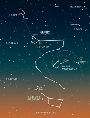 Большая Медведица созвездия Иллюстрация штока - иллюстрации насчитывающей  звезда, развилки: 120043987