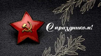 Купить Композиция на 23 февраля с большой золотой звездой с доставкой по  Москве - арт.