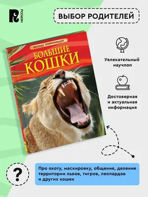 Большие кошки. 100 фактов купить, отзывы, фото, доставка - Покупки-просто58