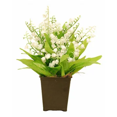 Искусственные цветы Greener Ландыш в кашпо 20 см - отзывы покупателей на  Мегамаркет