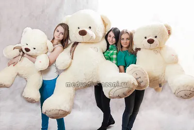 160 см Плюшевый медведь Нестор (цвет: коричневый) оптом и в розницу |  Мягкие игрушки | Большие мишки (id 95803317), купить в Казахстане, цена на  Satu.kz
