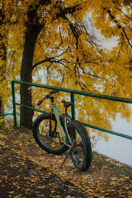 Книга Осень. Про большое и маленькое . Автор Алёна Чёрная. Издательство  Мелик-Пашаев 978-5-00041-482-8