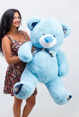Франшиза Большие плюшевые медведи - продажа игрушек: цены, отзывы и условия  в России, сколько стоит открыть франшизу Большие плюшевые медведи в 2021  году на Businessmens.ru
